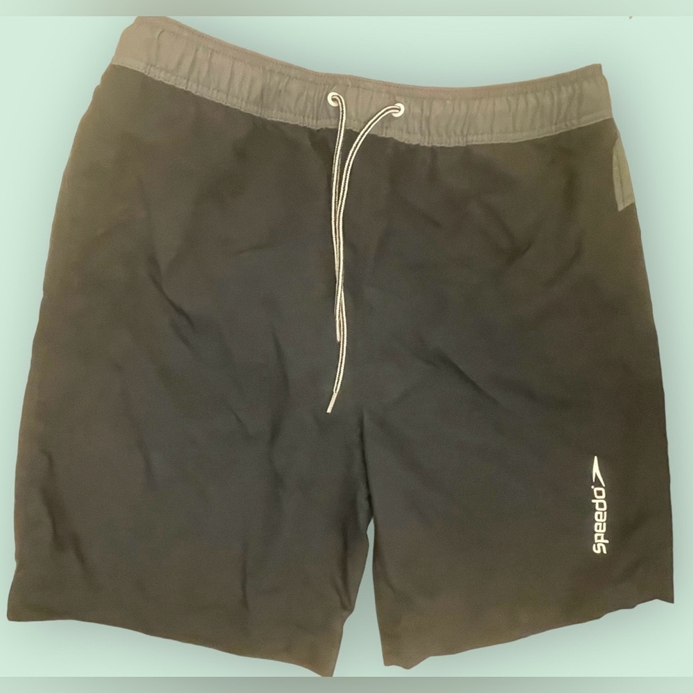 Speedo Swim Trunks - Picture 1 of 10